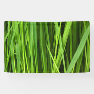 Grasblades Spandoek