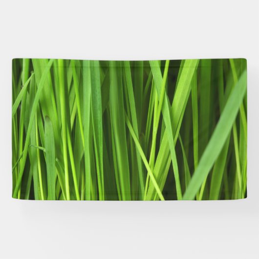 Grasblades Spandoek (Horizontaal)