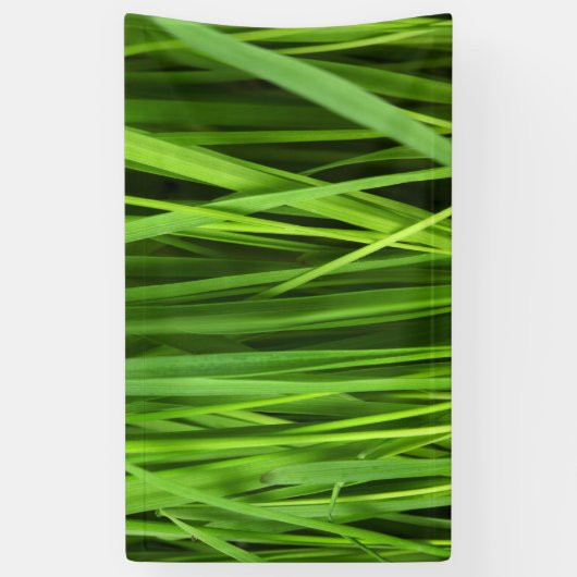 Grasblades Spandoek (Verticaal)