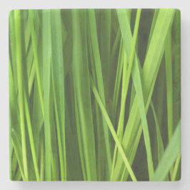 Grasblades Stenen Onderzetter