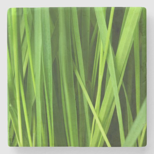 Grasblades Stenen Onderzetter (Voorkant)