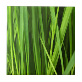 Grasblades Tegeltje