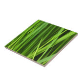 Grasblades Tegeltje (Zijkant)