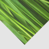 Grasblades Tissuepapier (Detail)