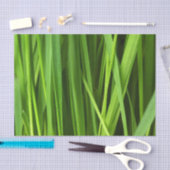Grasblades Tissuepapier (Craft)