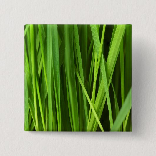 Grasblades Vierkante Button 5,1 Cm (Voorkant)