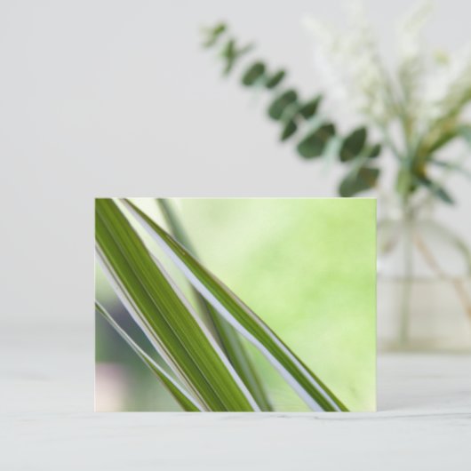 Gräser Briefkaart (Staand voorkant)