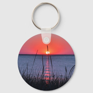 Gräser im Abendlicht - Insel Rügen Sleutelhanger