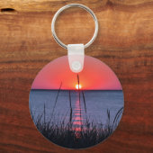 Gräser im Abendlicht - Insel Rügen Sleutelhanger (Voorkant)
