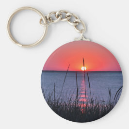 Gräser im Abendlicht - Insel Rügen Sleutelhanger