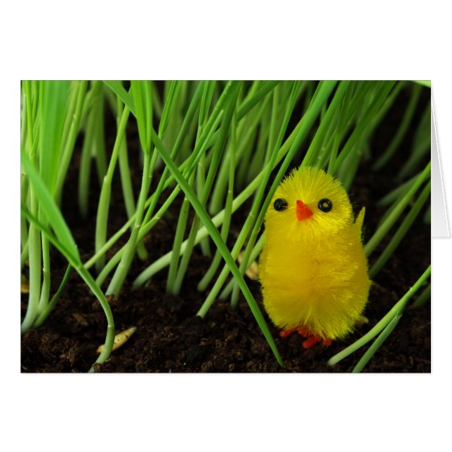 graskuiken (Voorkant Horizontaal)