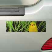 graskuiken bumpersticker (Op auto)