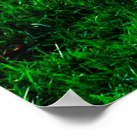 Grasland met achtergrondgroen gras poster (Hoek)