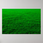 Grasland met achtergrondgroen gras poster (Voorkant)