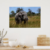 Grasland met grijze olifant poster (Keuken)