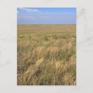 Graslandprairie ten oosten van Sidney, Nebraska. Briefkaart