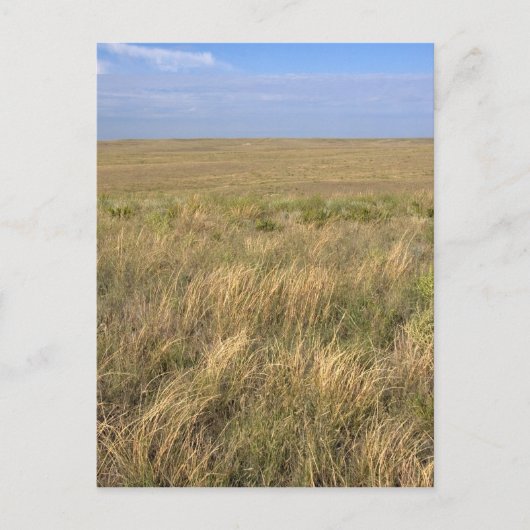 Graslandprairie ten oosten van Sidney, Nebraska. Briefkaart (Voorkant)