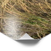 Graslandprairie ten oosten van Sidney, Nebraska. Foto Afdruk (Hoek)