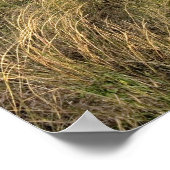 Graslandprairie ten oosten van Sidney, Nebraska. Poster (Hoek)