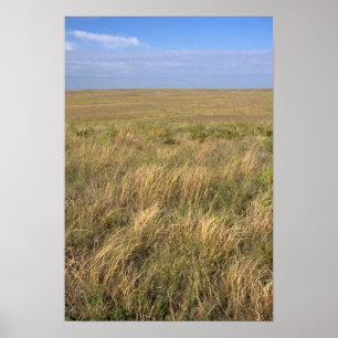 Graslandprairie ten oosten van Sidney, Nebraska. Poster