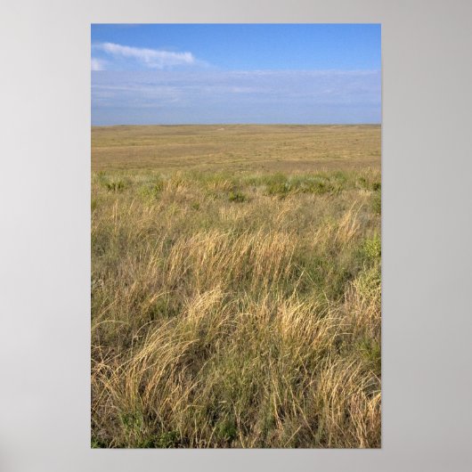 Graslandprairie ten oosten van Sidney, Nebraska. Poster (Voorkant)