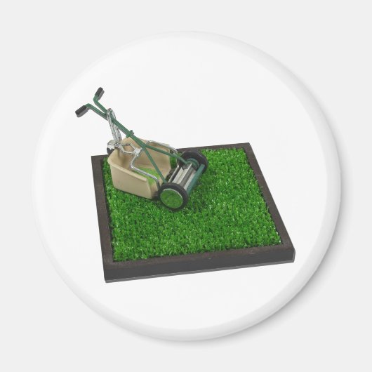 GrasmaaierOpHetGras100711 Magneet (Voorkant)