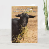 Grasmaaimachine Vaderdag Kaart (Voorkant)