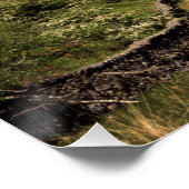 Grasmere Lake District England Perfect Poster (Hoek)