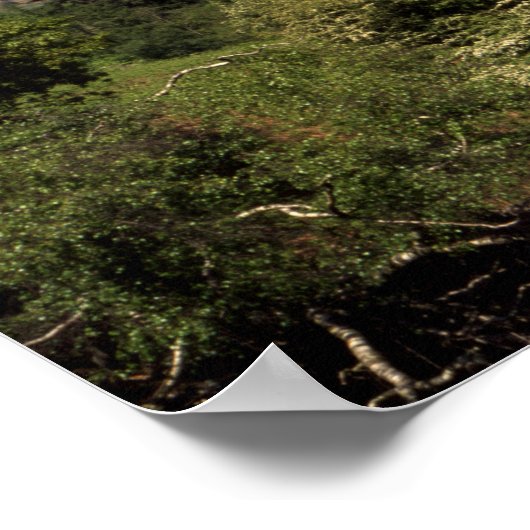 Grasmere Lake District England Poster (Hoek)