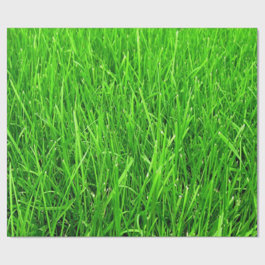 graspatroon, WRAP PAPER, Cadeaupapier (Vlak)