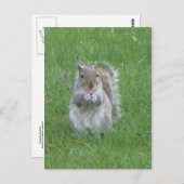 Graspekhoorn Briefkaart (Voorkant / Achterkant)