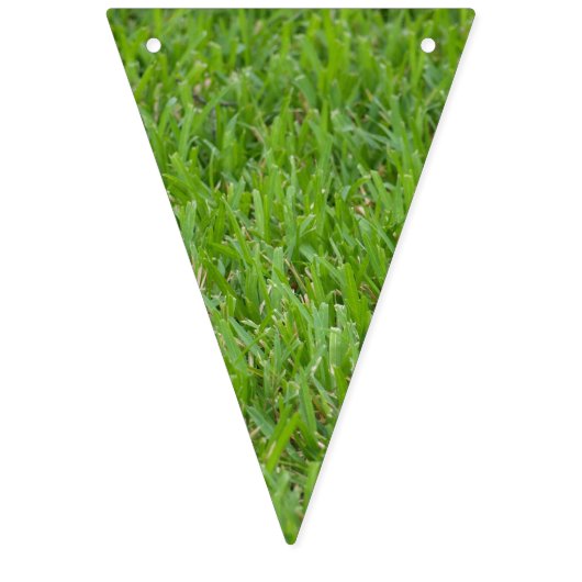 Grass and Turf Center Bunting Flags Vlaggetjes (Derde vlag)