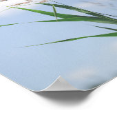 Grass Blue Sky Field Meadow Natuur Poster (Hoek)
