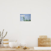 Grass Blue Sky Field Meadow Natuur Poster (Keuken)