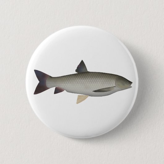 Grass Carp Button (Voorkant)