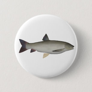 Grass Carp Button