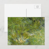 Grass-clusters van Vincent van Gogh Briefkaart (Voorkant / Achterkant)