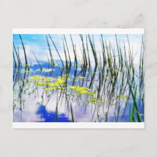 Grass en Blues.JPG Briefkaart