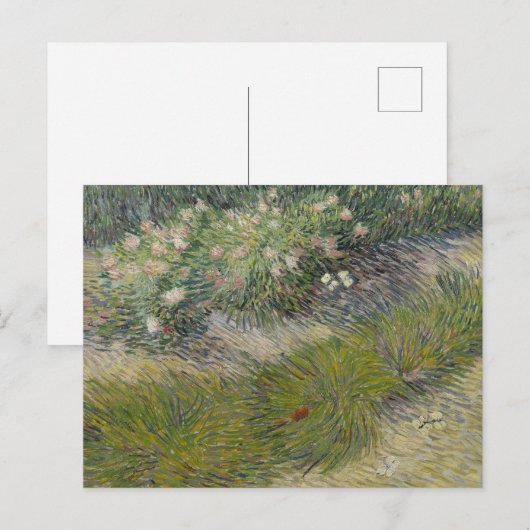 Grass en Butterflies van Vincent van Gogh Briefkaart (Voorkant / Achterkant)