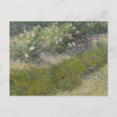 Grass en Butterflies van Vincent van Gogh Briefkaart (Voorkant)