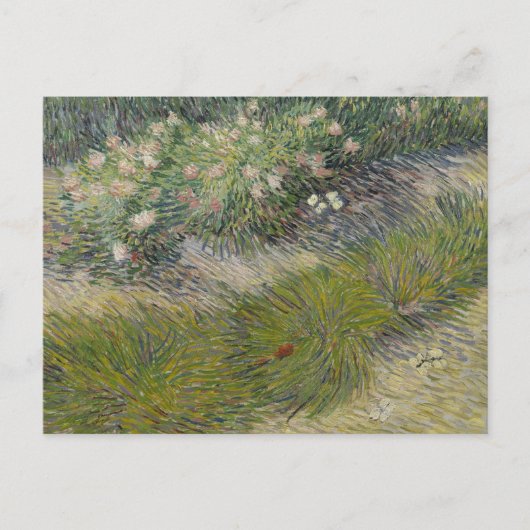 Grass en Butterflies van Vincent van Gogh Briefkaart (Voorkant)