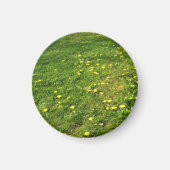 Grass en Dandelions Magnet (Voorkant)
