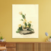 Grass Finch, Bay-winged Bunting of Vesper Sparrow Canvas Afdruk (Insitu (Woonkamer))