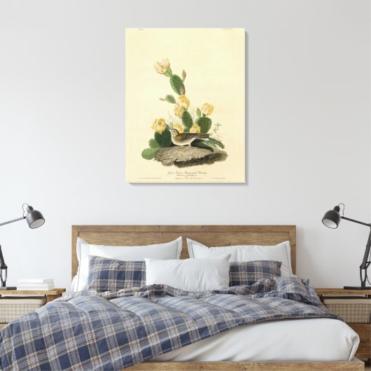 Grass Finch, Bay-winged Bunting of Vesper Sparrow Canvas Afdruk (Insitu (Slaapkamer))