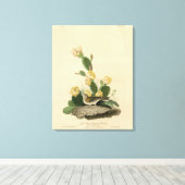 Grass Finch, Bay-winged Bunting of Vesper Sparrow Canvas Afdruk (Insitu (Houten vloer))