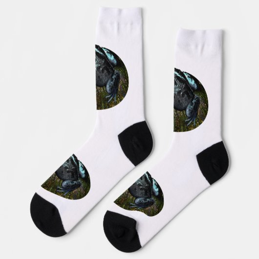 Grass Frog Painted, Creg Sokken (Links)