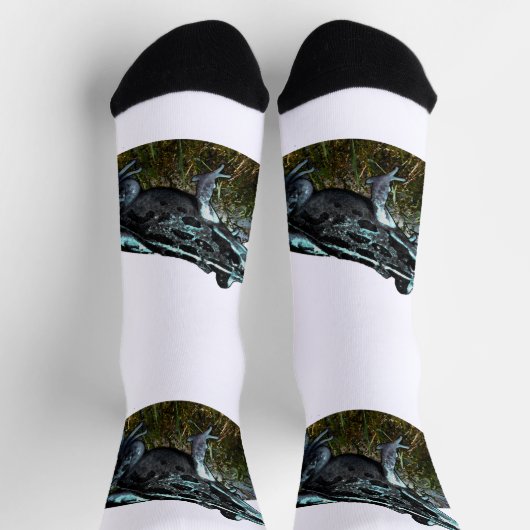 Grass Frog Painted, Creg Sokken (Top)