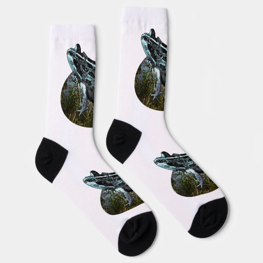 Grass Frog Painted, Creg Sokken (Rechts)