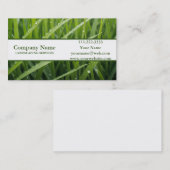 Grass Garden Lawn Care en Landscape Visitekaartje (Voorkant / Achterkant)