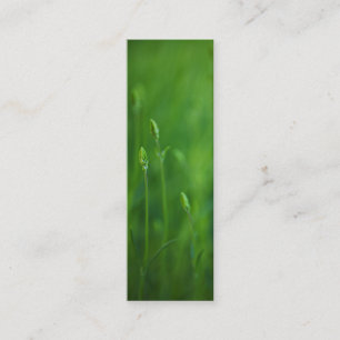Grass - Groene grassen Achtergrond Sjabloon Mini Visitekaartje